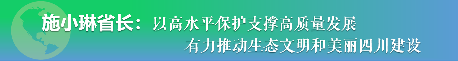 施小琳省长讲话